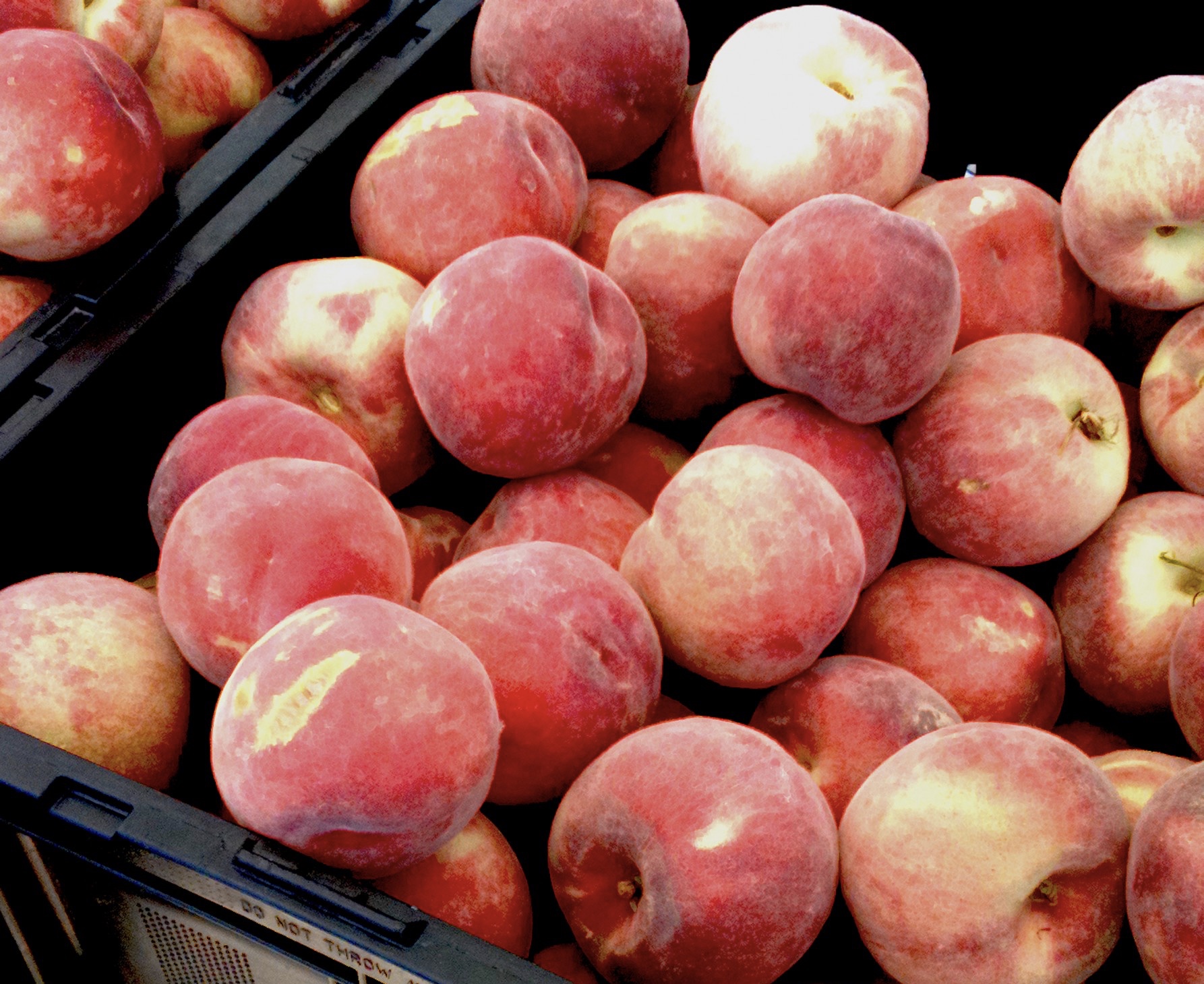 Fresh Peaches
