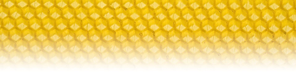 Me Want Honeycomb