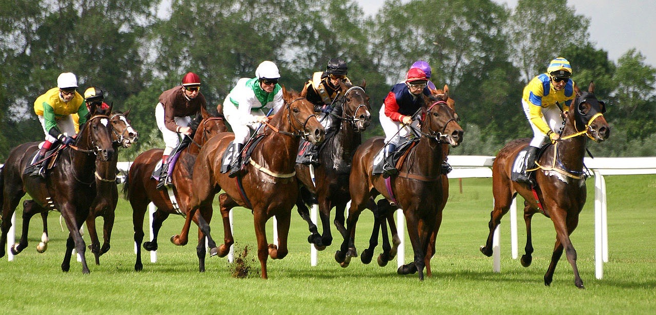 Race
