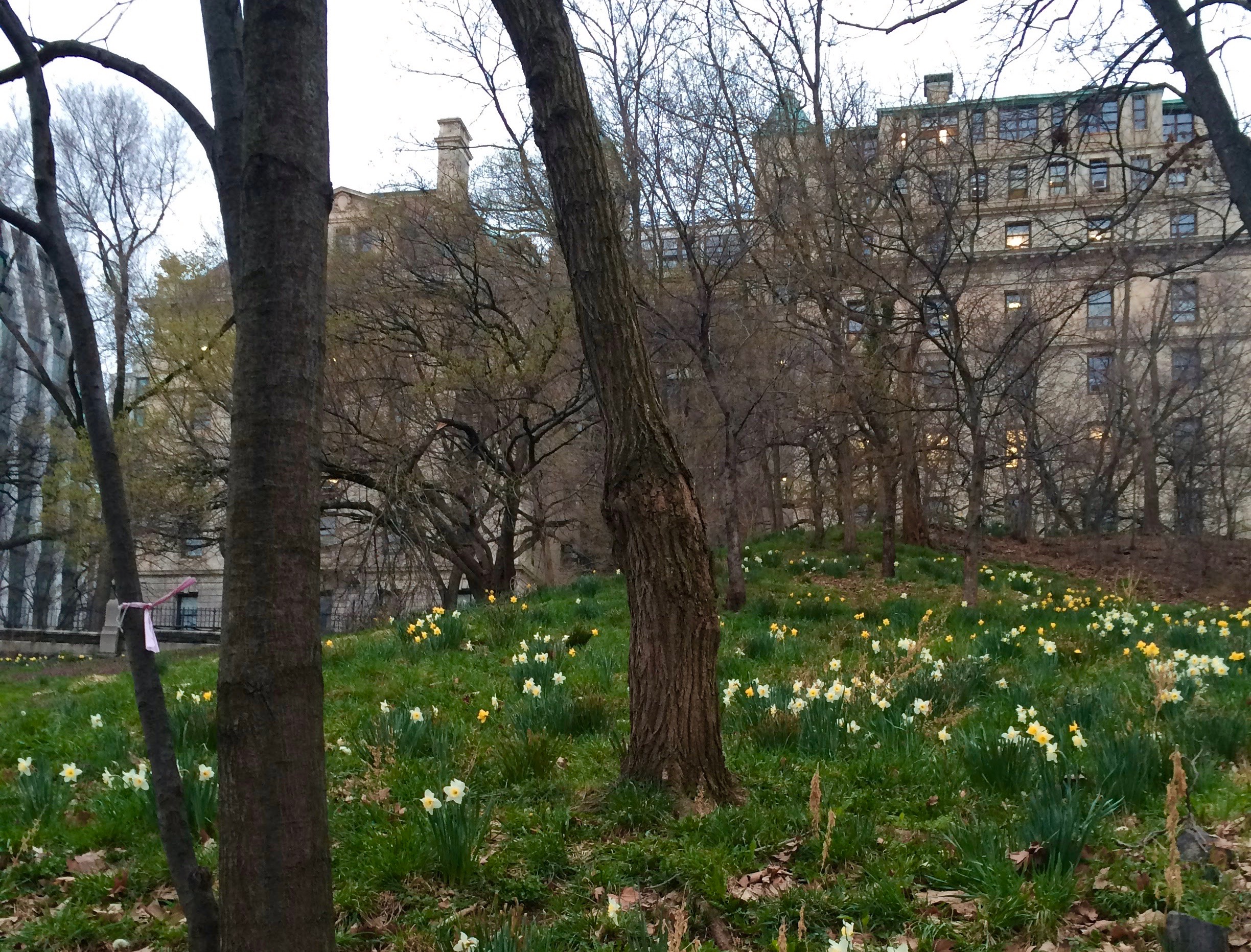 Spring in New York City